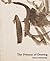 The Primacy of Drawing: His...