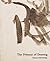 The Primacy of Drawing: Histories and Theories of Practice