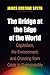 The Bridge at the Edge of t...