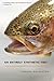 An Entirely Synthetic Fish:...