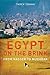 Egypt on the Brink: From Nasser to Mubarak