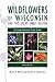 Wildflowers of Wisconsin and the Great Lakes Region: A Comprehensive Field Guide