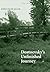 Dostoevsky's Unfinished Jou...