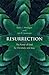 Resurrection: The Power of ...