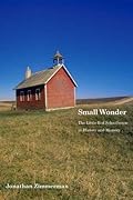 Small Wonder: The Little Red Schoolhouse in History and Memory