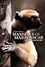 Mammals of Madagascar by Nick Garbutt Mammals of Madagascar by Nick Garbutt