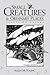 Small Creatures and Ordinary Places: Essays on Nature