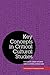 Key Concepts in Critical Cultural Studies by Linda Steiner