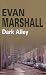 Dark Alley (Hidden Manhattan Mysteries)