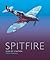 Spitfire by Ivan Rendall