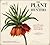 The Plant Hunters: The Adventures of the World's Greatest Botanical Explorers (Y)