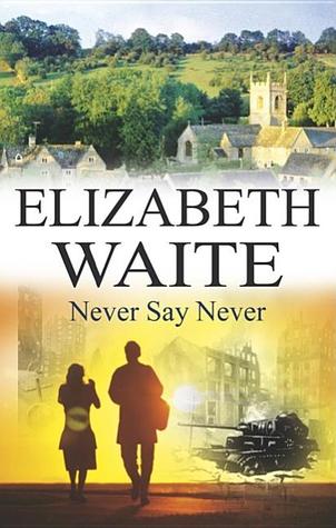 Never Say Never (Hardcover)