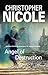 Angel of Destruction (Anna Fehrbach #7)