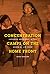 Concentration Camps on the Home Front by John   Howard