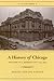 A History of Chicago, Volume III: The Rise of a Modern City, 1871-1893