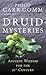 Druid Mysteries: Ancient Wi...