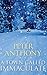 A Town Called Immaculate by Peter  Anthony