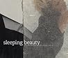 Sleeping Beauty: A One-Artist Dictionary (Project Tango: Artists and Writers Together)
