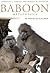 Baboon Metaphysics: The Evo...