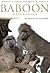 Baboon Metaphysics: The Evolution of a Social Mind