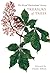 Treasury of Trees: Writers ...