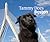 Tammy Does Boston by Judith Hughes