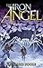 The Iron Angel (The Book of...