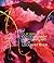 Our Way: Contemporary Abori...