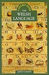 The Welsh Language: A Pocket Guide