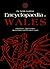 The Welsh Academy Encyclopa...