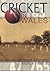 Cricket in Wales: An Illustrated History
