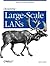 Designing Large Scale Lans:...