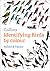 Collins Identifying Birds by Colour