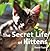 The Secret Life of Kittens