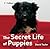 The Secret Life of Puppies