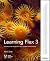 Learning Flex 3: Getting up...