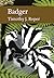 Badger (New Naturalist, #114)