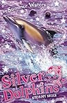 Stormy Skies (Silver Dolphins, #8)