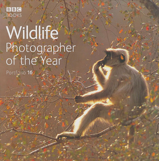Wildlife Photographer of the Year: Portfolio 16 (Hardcover)