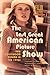 The Last Great American Picture Show by Thomas Elsaesser