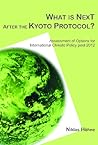 What is Next After the Kyoto Protocol?: Assessment Options for International Climate Policy Post 2012