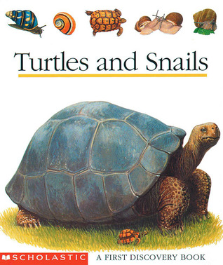 Turtles and Snails (Hardcover)