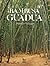 Bambusa Guadua / Tropical Bamboo (Spanish Edition)