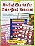 Pocket Charts for Emergent Readers: 30 Fun, Interactive Cross-Curricular Charts That Build Literacy (Grades K-1)