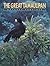 The Great Tamaulipan Natural Province by Patricio Robles Gil