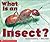 What Is An Insect?