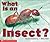 What Is An Insect? (Emergent Readers)