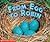 From Egg To Robin