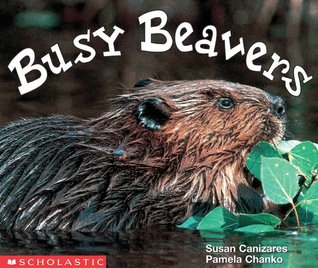 Busy Beavers (Emergent Readers)