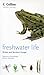 Freshwater Life: Britain an...